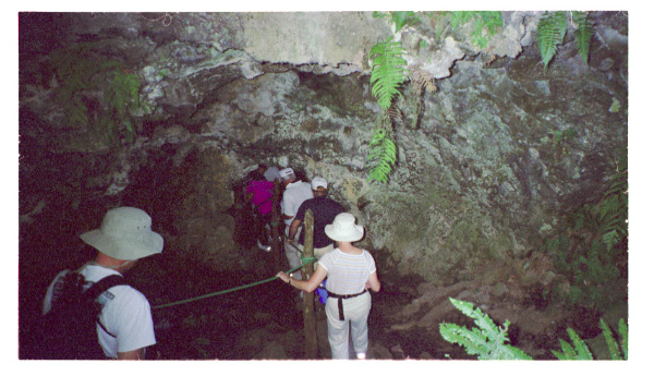 Image0001