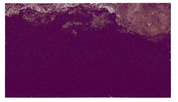 Image0003