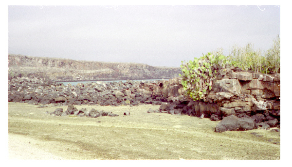 Image0023