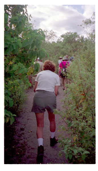 Image0031