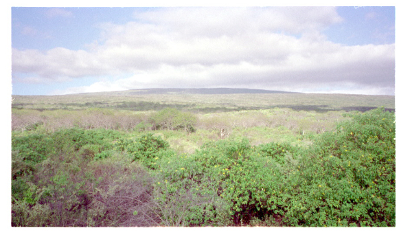 Image0034
