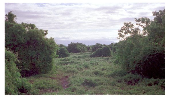 Image0035