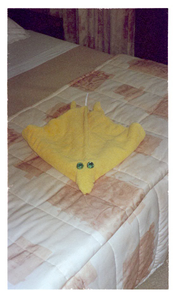 Image0039