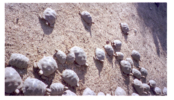Image0040