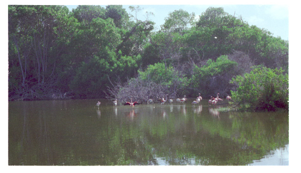 Image0044