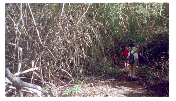 Image0046