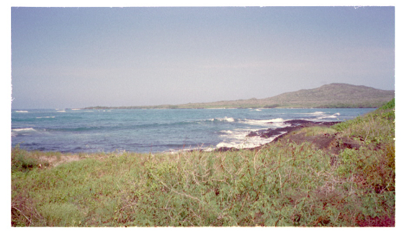 Image0047