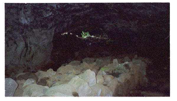 Image0059