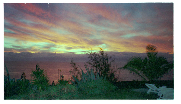 Image0066
