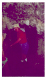 Image0002
