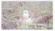 Image0012