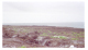 Image0015