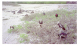 Image0022