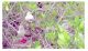 Image0024