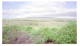 Image0034
