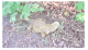 Image0036