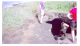 Image0048