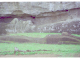 Image0052