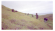 Image0058-1