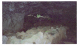 Image0059