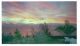 Image0066