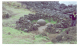 Image0071-1