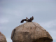 100_1272